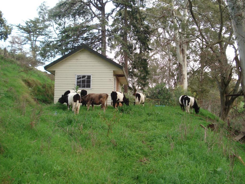 Havelock House Bed & Breakfast Havelock North Exterior foto